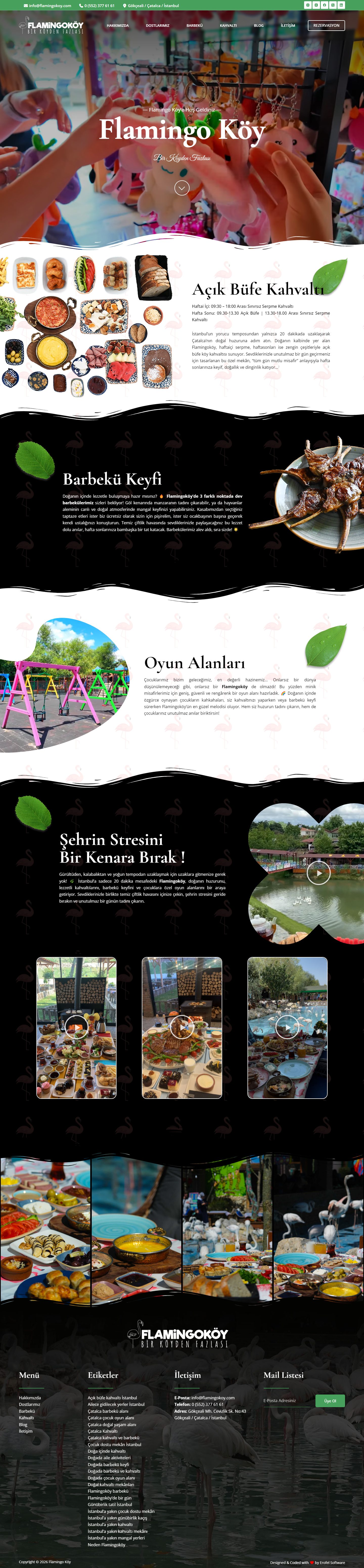 Flamingo Köy web sitesi tasarımı